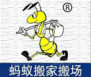 蚂蚁搬家的过程写一段话10字 1490941791100085mb.jpg